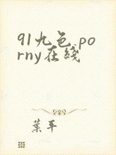 91九色 porny在线
