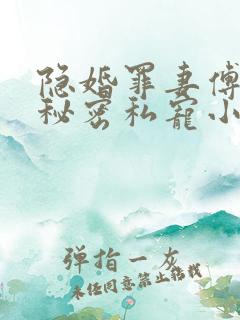 隐婚罪妻傅少的秘密私宠小说正版