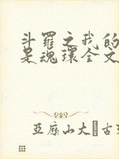 斗罗之我的武魂是魂环全文阅读阅读
