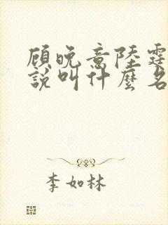 顾晚意陆霆之小说叫什么名字