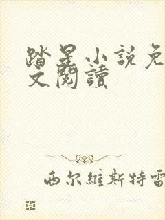 踏星小说免费全文阅读 踏星小说免费全文阅读