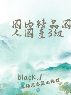 国内精品国产成人国产3级