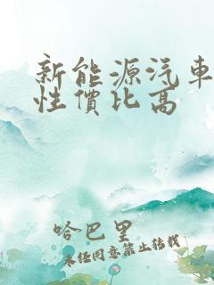 新能源汽车哪个性价比高