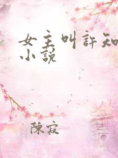 女主叫许知夏的小说