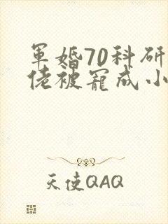 军婚70科研大佬被宠成小娇妻