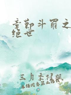 章节斗罗之双枪绝世