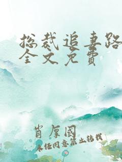 总裁追妻路漫漫全文免费
