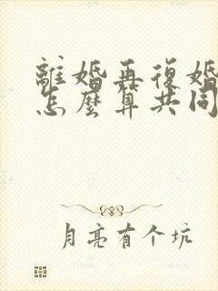 离婚再复婚财产怎么算共同财产的