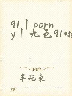 91丨porny丨九色91啦