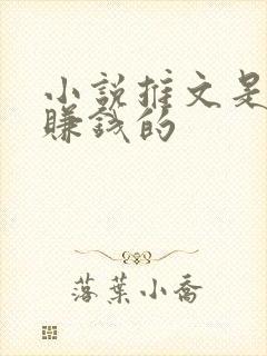 小说推文是怎么赚钱的