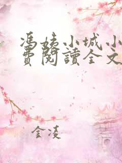 冯姨小城小说免费阅读全文