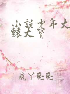 小说少年大宝轩辕大宝