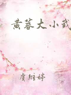 黄蓉大小武小说