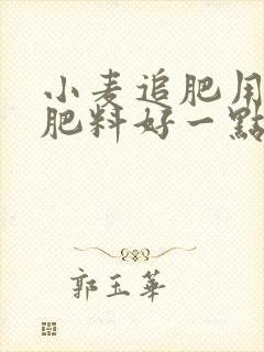小麦追肥用什么肥料好一点