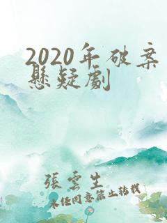 2020年破案悬疑剧