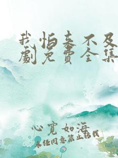 我怕来不及电视剧免费全集