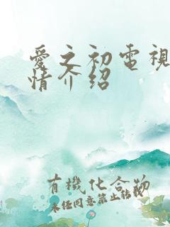 爱之初电视剧剧情介绍 爱之初电视剧剧情介绍