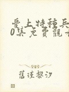 爱上特种兵第40集免费观看
