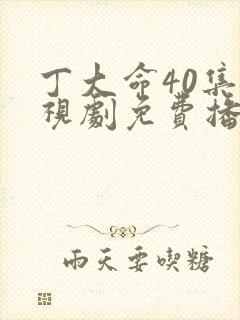 丁大命40集电视剧免费播放