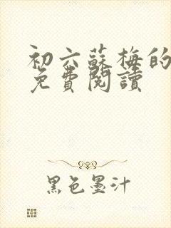 初六苏梅的小说免费阅读