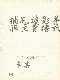 捕风追影普通话版免费播放