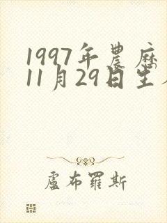 1997年农历11月29日生人八字