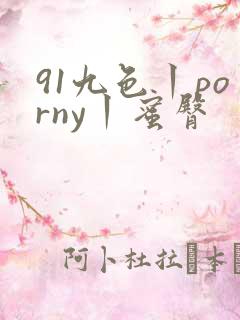 91九色丨porny丨蜜臀