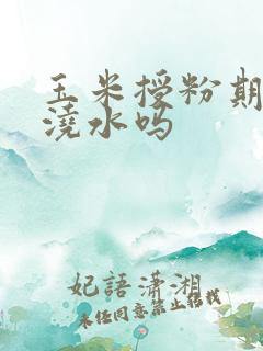 玉米授粉期可以浇水吗