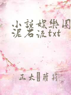 小说娱乐圈里的泥石流txt