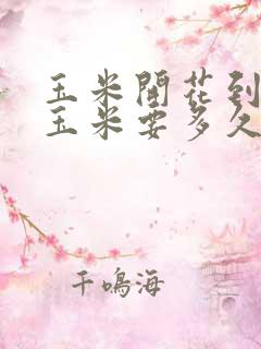 玉米开花到吃嫩玉米要多久