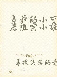 枭爷的小可爱是老祖宗小说免费阅读