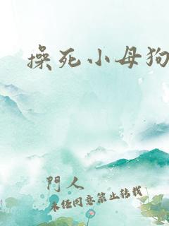 操死小母狗