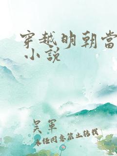 穿越明朝当暴君 小说
