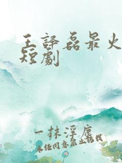 王译磊最火十部短剧