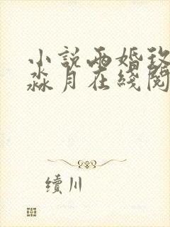 小说两婚玫瑰林淼月在线阅读