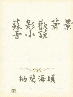 苏影欢萧景渊抖音小说