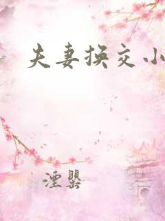 夫妻换交小说