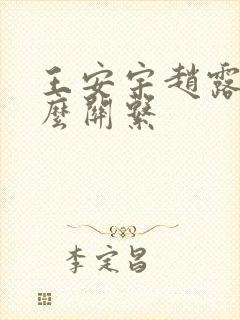 王安宇赵露思什么关系