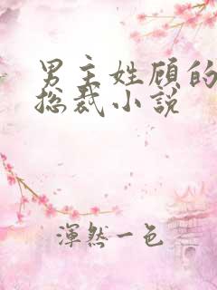 男主姓顾的现代总裁小说