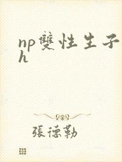 np双性生子高h