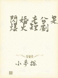 闪婚老公是总裁爆火短剧