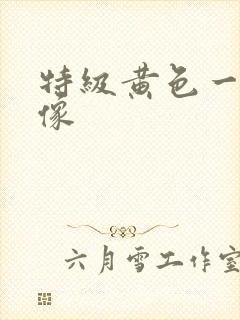 特级黄色一级录像