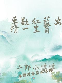 单数红蓝出特马猜一生肖