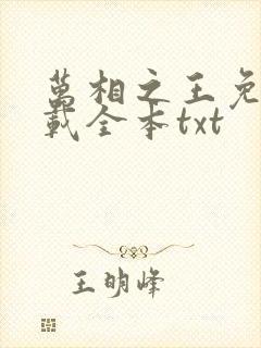 万相之王免费下载全本txt