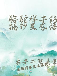 骆驼祥子的好句摘抄及感悟