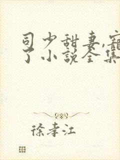 司少甜妻,宠定了小说全集