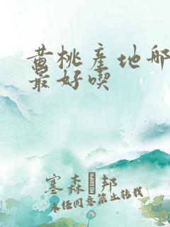 黄桃产地哪里的最好吃