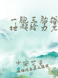 一胞三胎总裁爹地超给力免费阅读