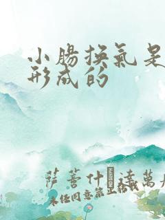 小肠换气是怎么形成的