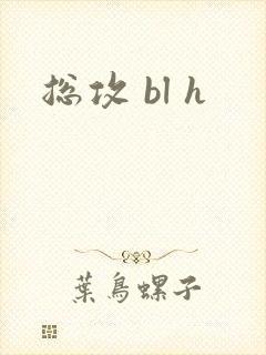 总攻 bl h